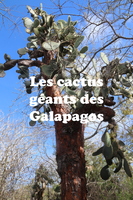 IMG 5140 texte