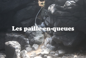 IMG 5539 texte