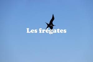 IMG 4303 texte