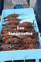 IMG 5636 texte