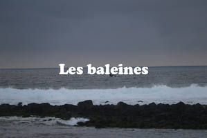 IMG 4802 texte