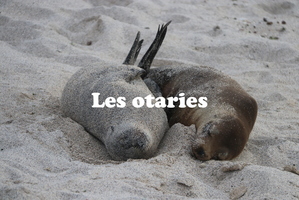 IMG 4368 texte