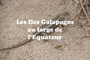 IMG 4481 texte