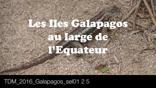 TDM 2016 Galapagos sel01 2 5 Pan0