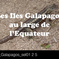 TDM_2016_Galapagos_sel01 2 5_Pan0.m4v