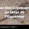TDM 2016 Galapagos sel03 2 Pan1