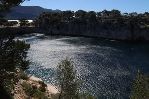 IMG 0907