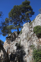 IMG 0908