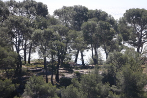 IMG 0918