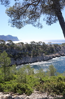 IMG 0923