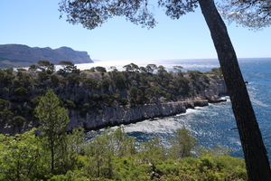 IMG 0924