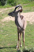 IMG 0717