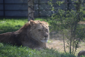 IMG 0732