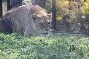 IMG 0734