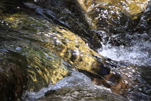 IMG 4025