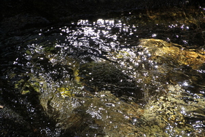 IMG 4035