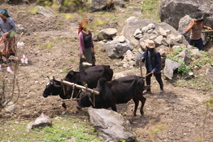 Nepal IMG 0881