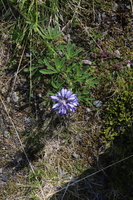 IMG 3501