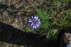IMG 3503