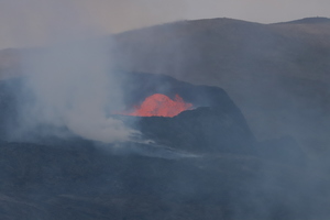 IMG 4550