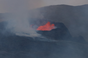 IMG 4559