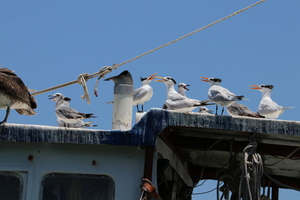 IMG 9373