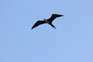 IMG 9477