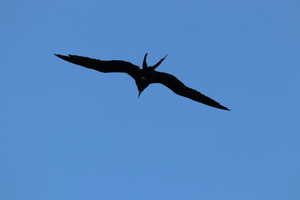 IMG 9503