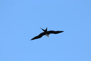 IMG 9528