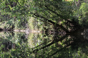 IMG 9570