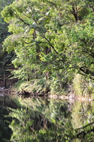 IMG 9571