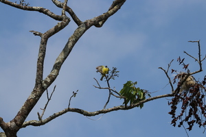 IMG 9681